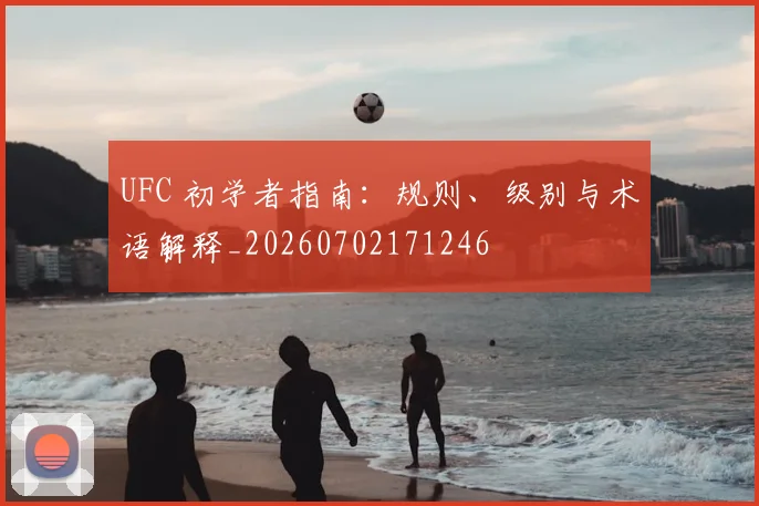 UFC 初学者指南：规则、级别与术语解释_20260702171246