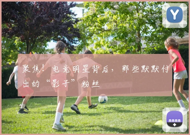 聚焦!电竞明星背后,那些默默付出的“影子”粉丝