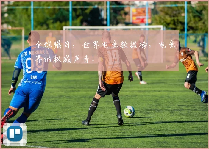 全球瞩目,世界电竞数据榜,电竞界的权威声音!