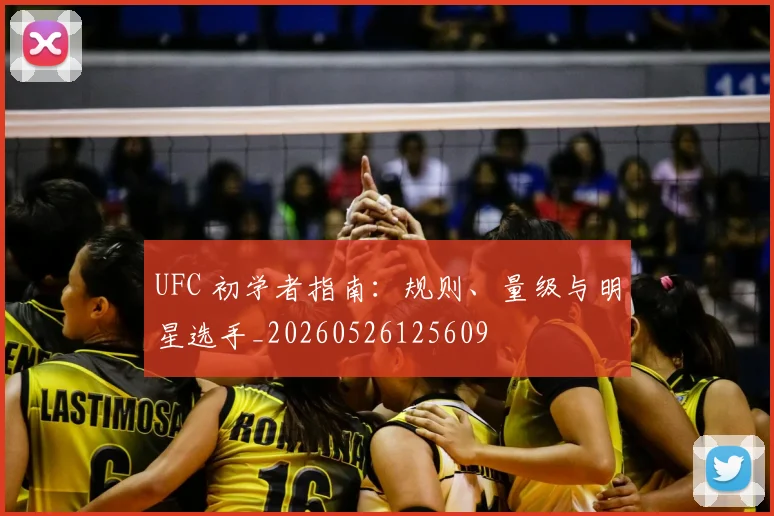 UFC 初学者指南：规则、量级与明星选手_20260526125609