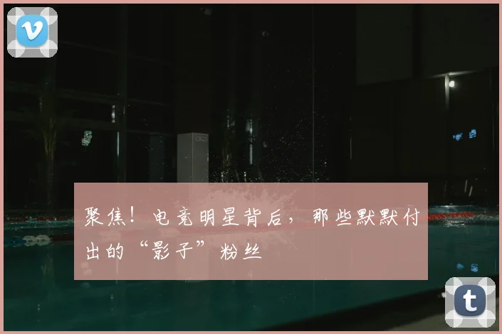 聚焦！电竞明星背后，那些默默付出的“影子”粉丝